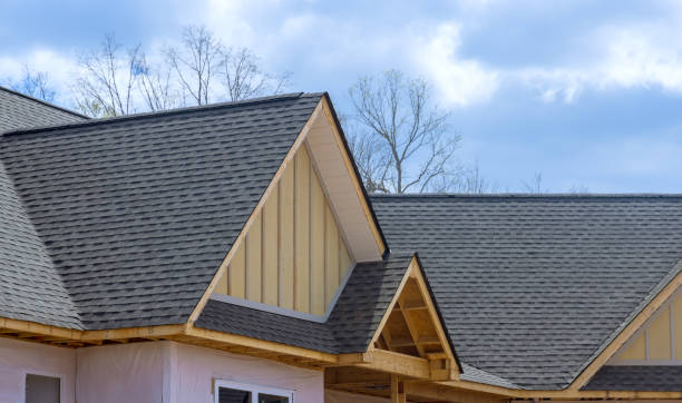 Best Steel Roofing  in Cologne, NJ